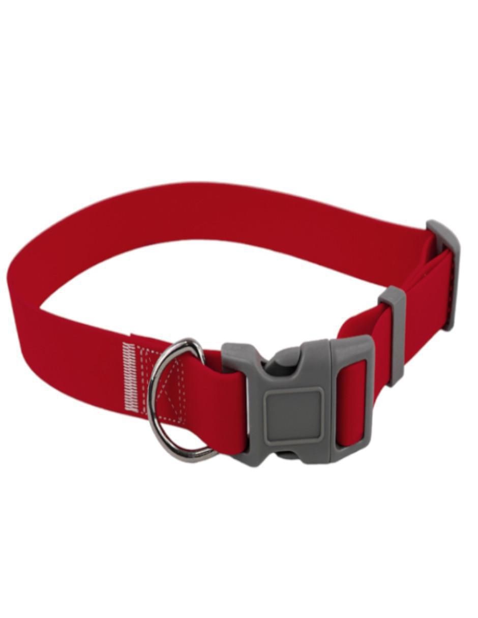 Kit de collar para perro 2
