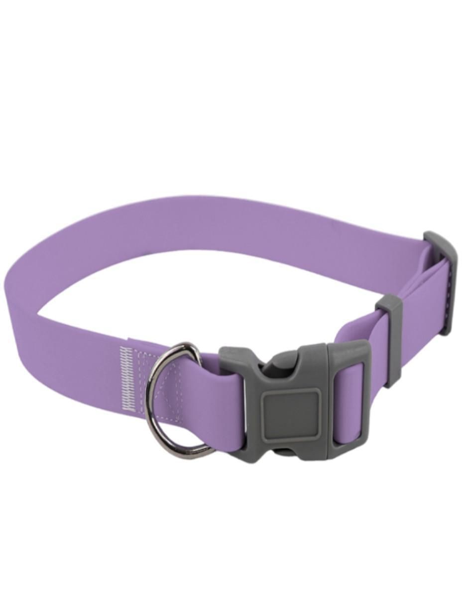 Kit de collar para perro 2