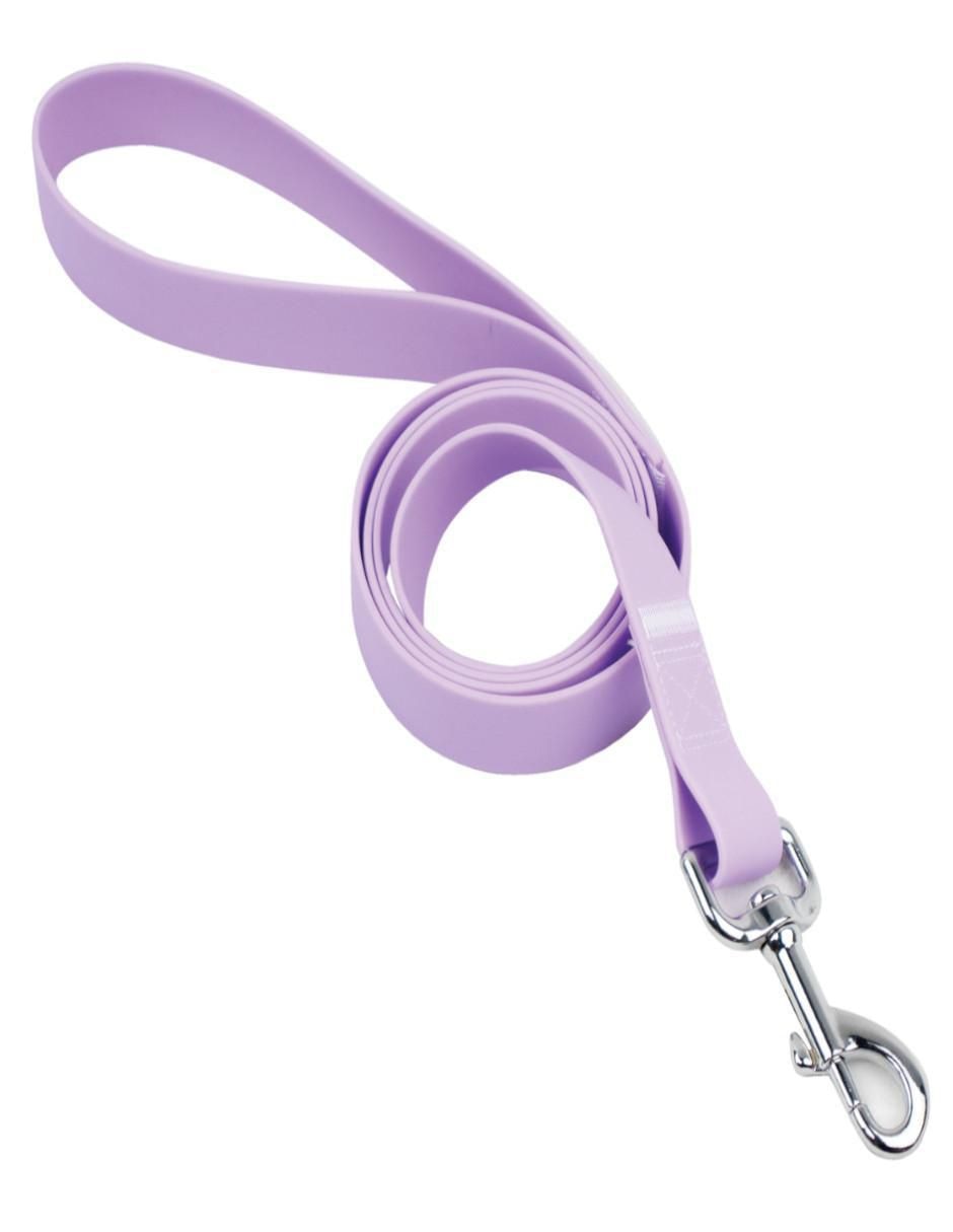 Kit de collar para perro 3