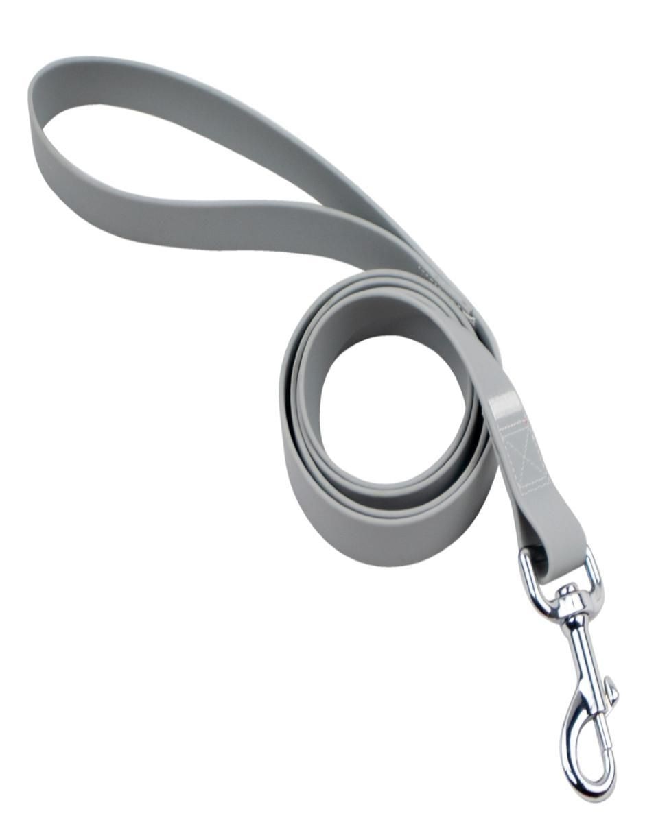 Kit de collar para perro 3