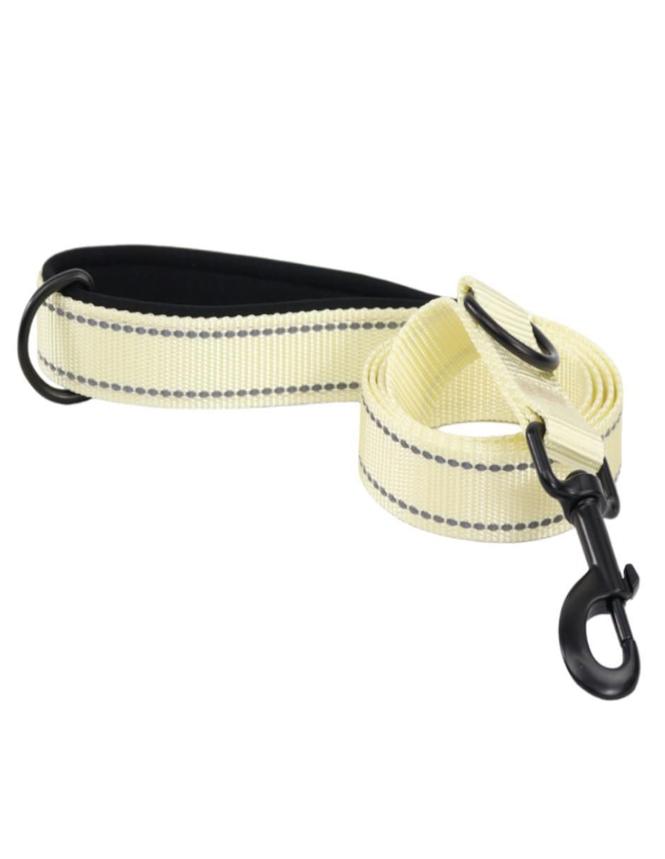 Kit de collar para perro 2