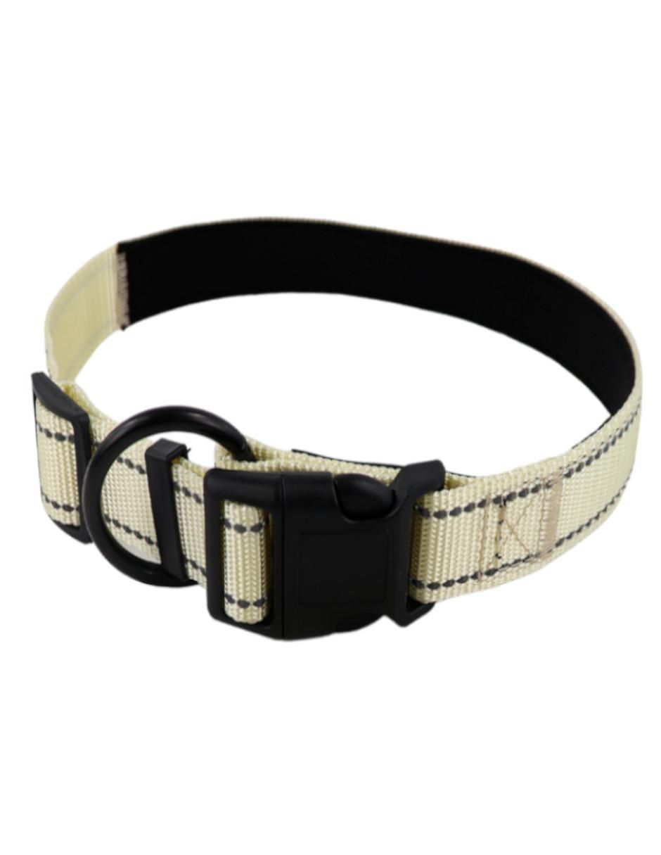 Kit de collar para perro 3