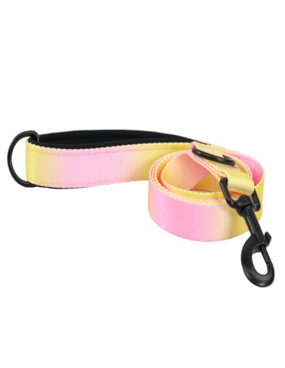 Kit de collar para perro 3