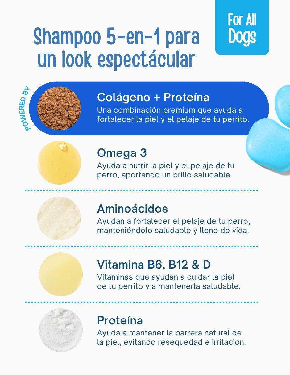 Shampoo para perro 3