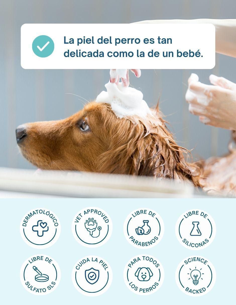 Shampoo para perro 5