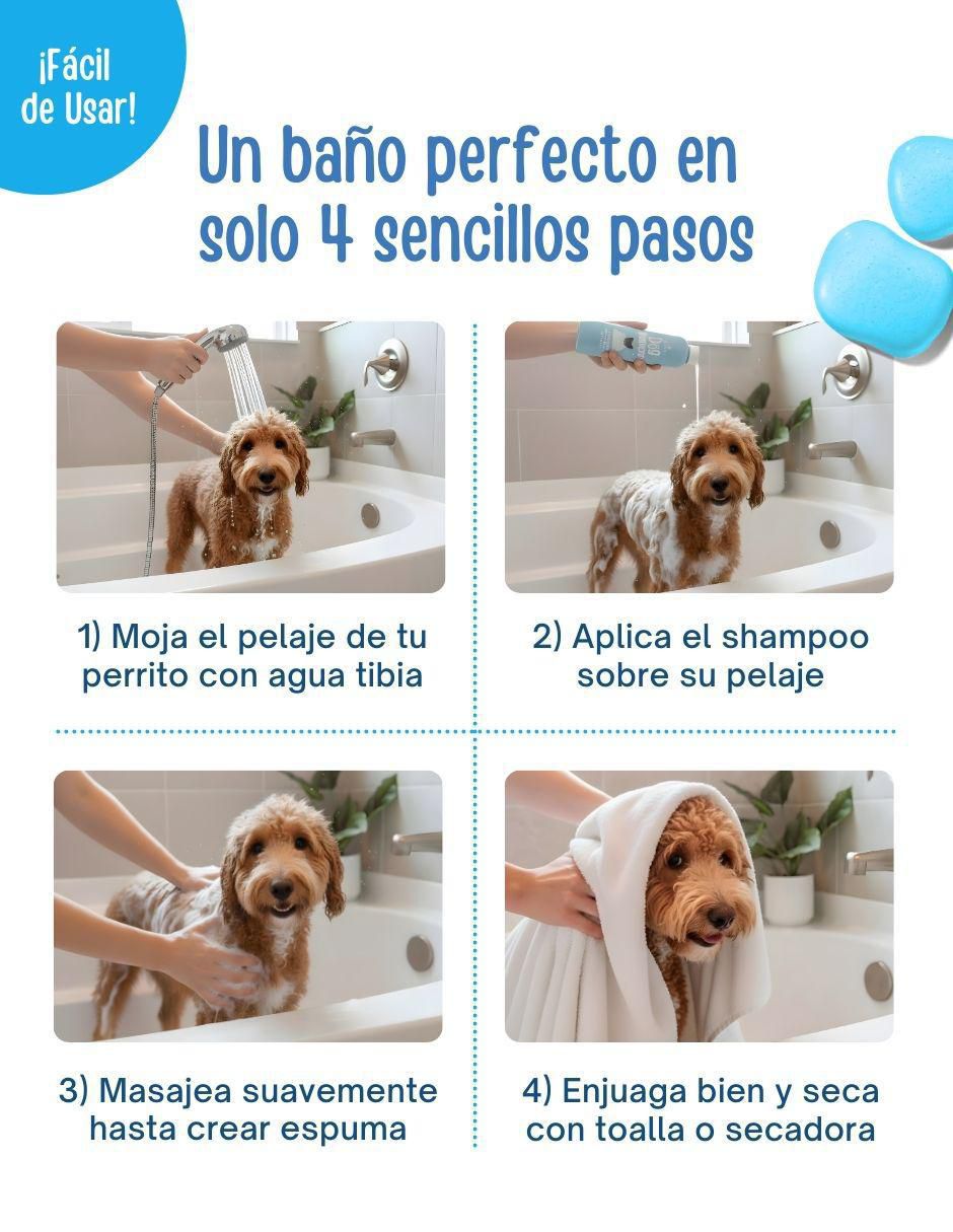 Shampoo para perro 6
