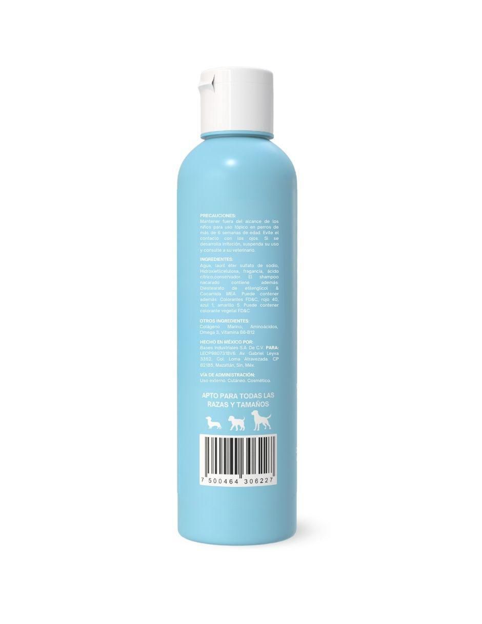 Shampoo para perro 9