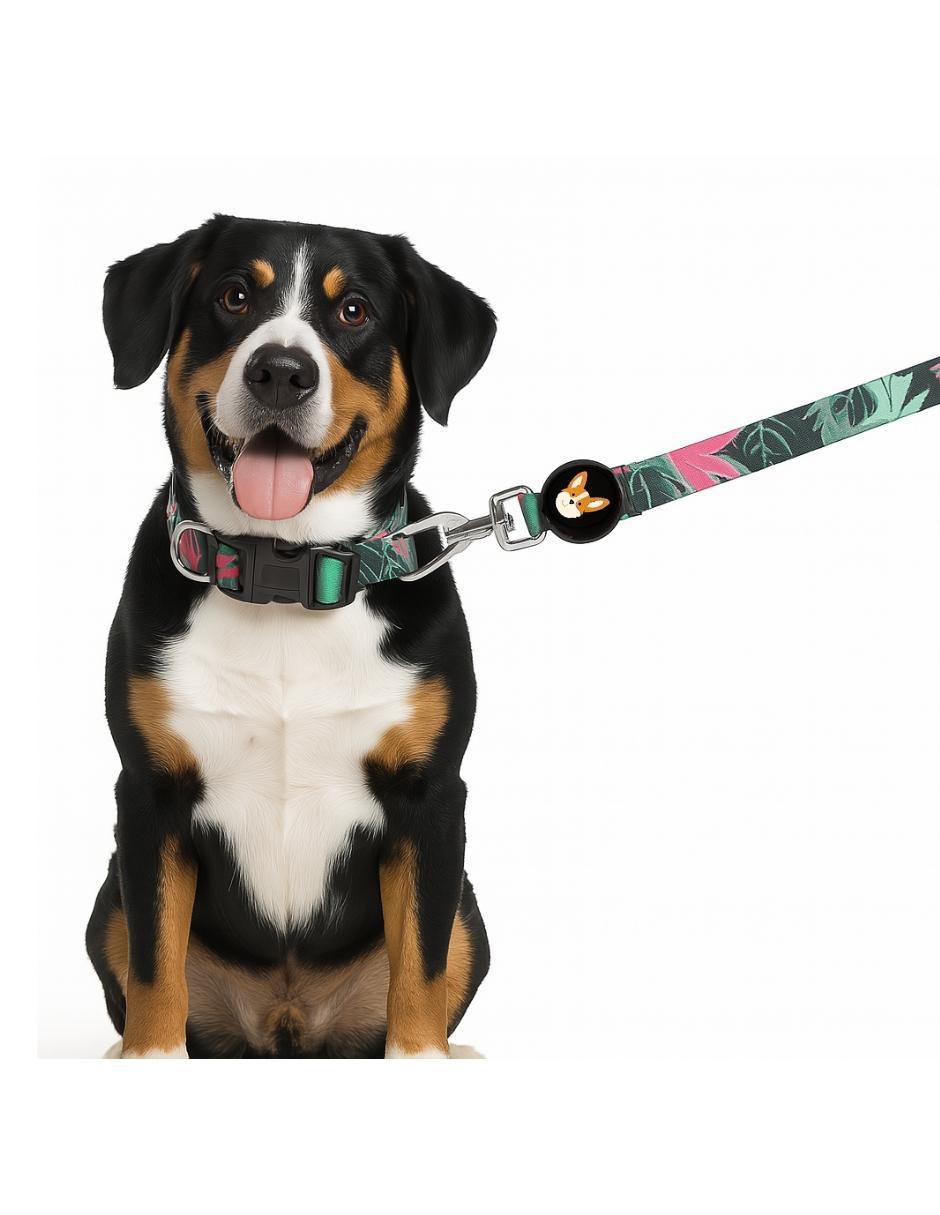 Correa para perro 4