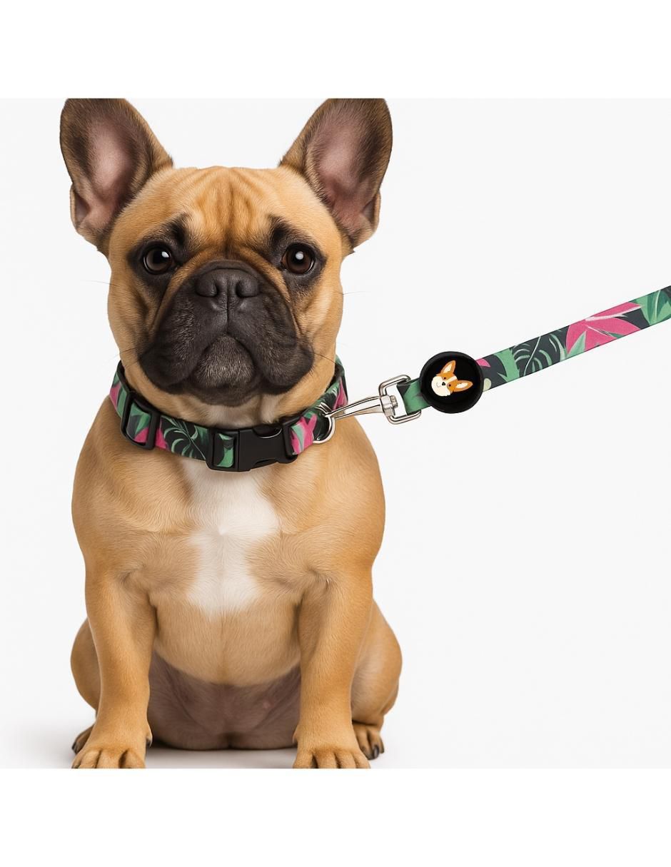 Correa para perro 6