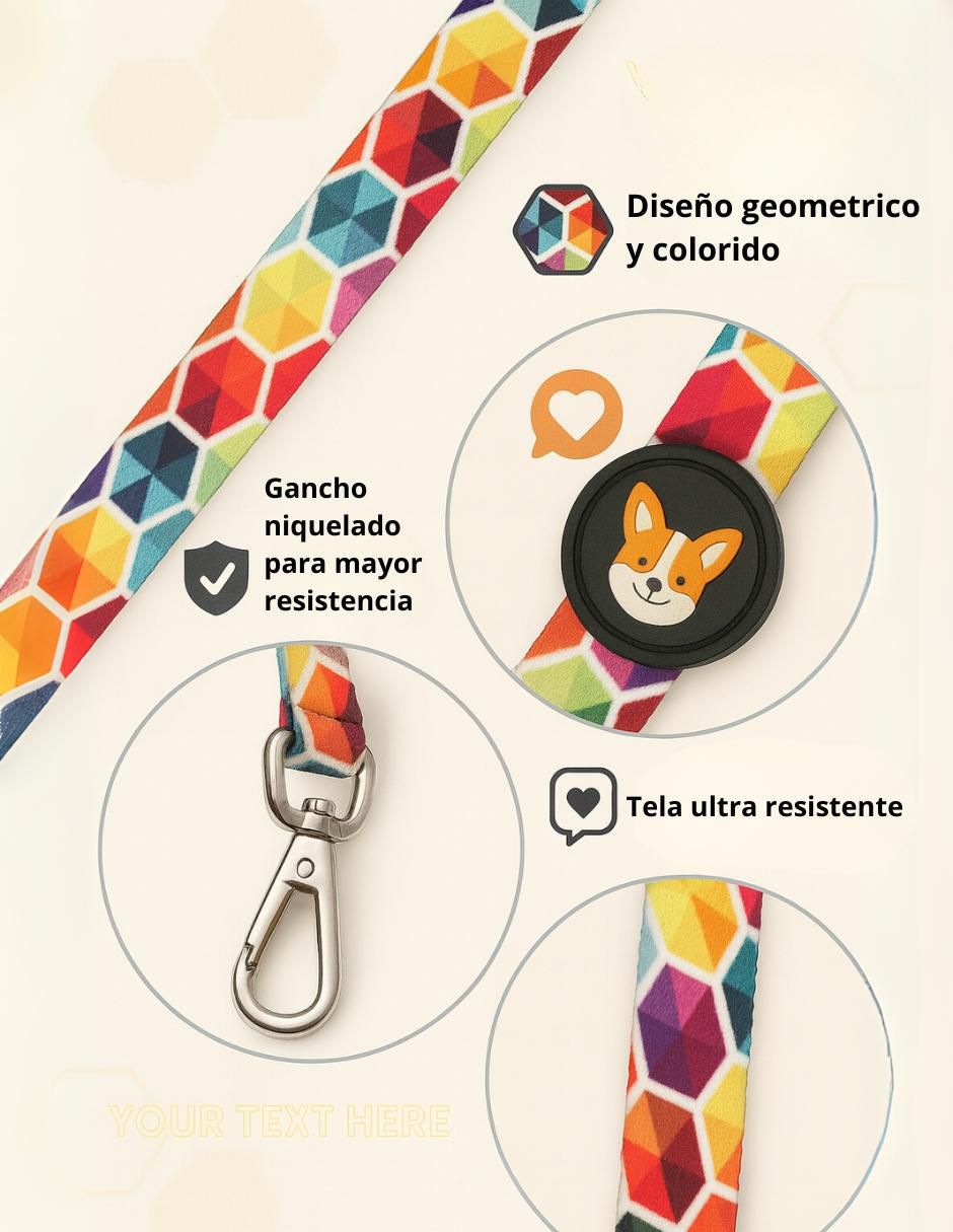 Correa para perro 4