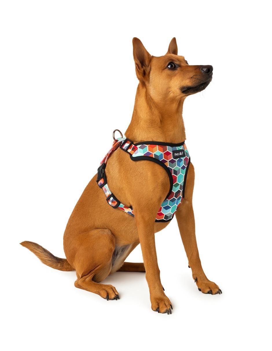 Arnés para perro 10