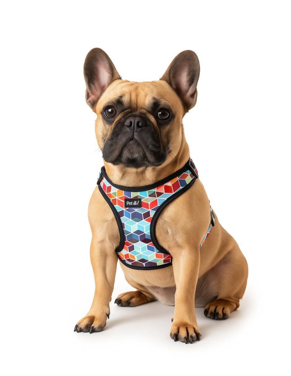 Arnés para perro 11