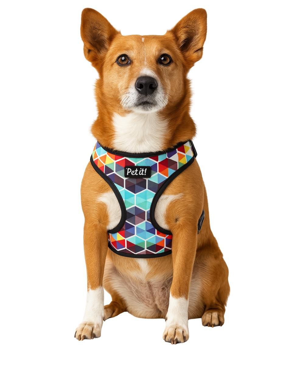 Arnés para perro 8