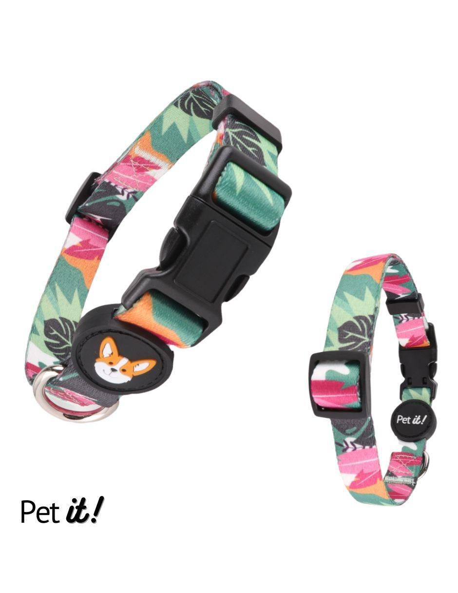 Collar para perro 2