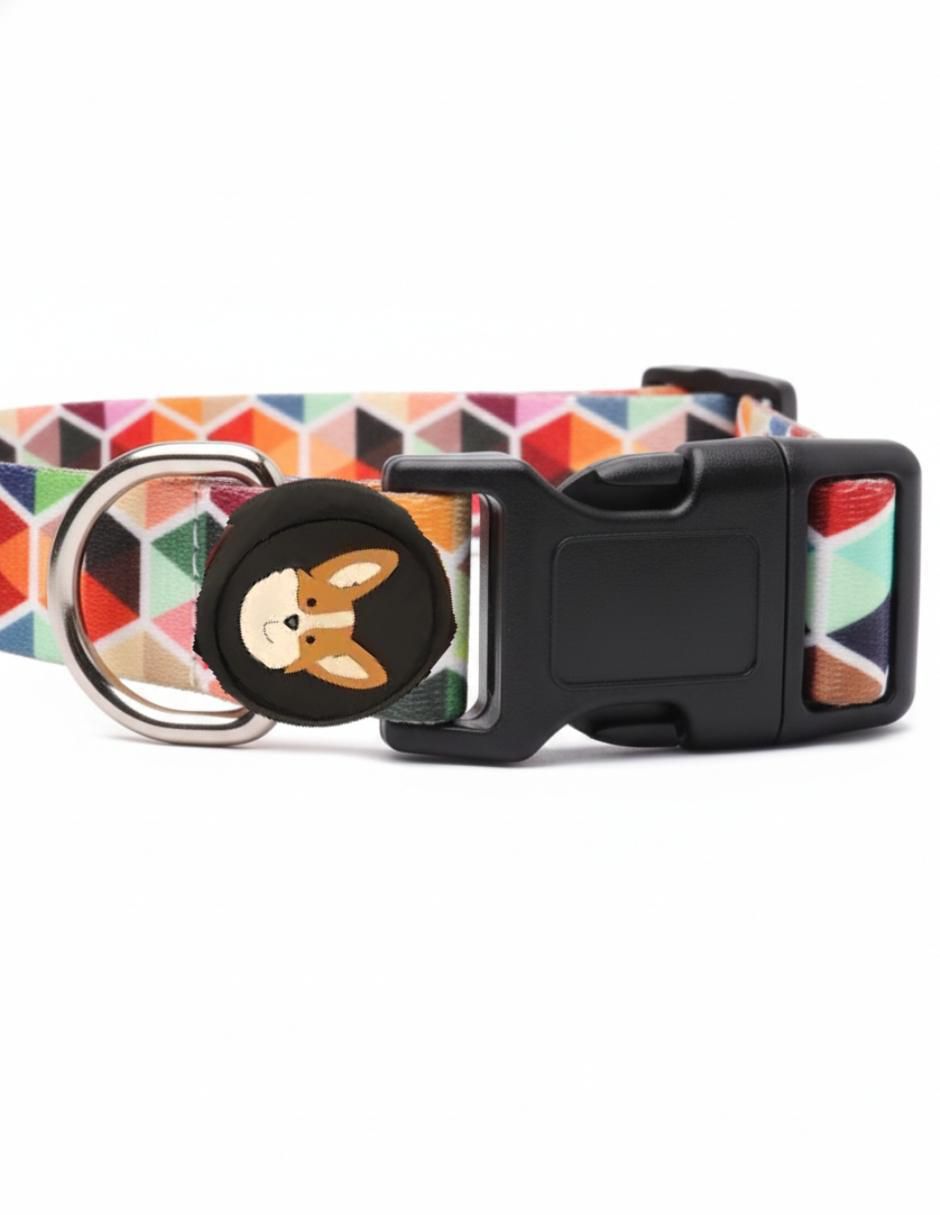 Collar para perro 2