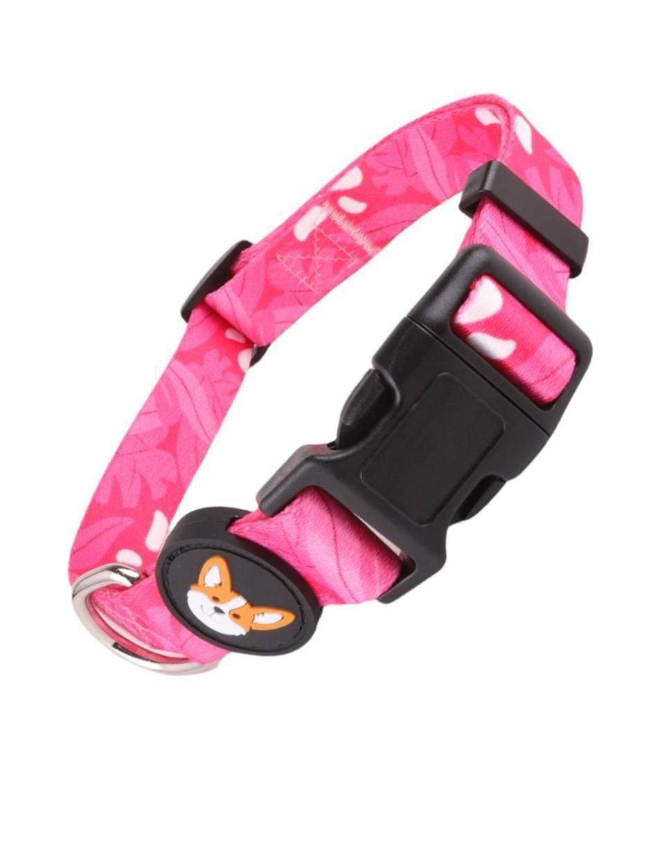 Collar perro