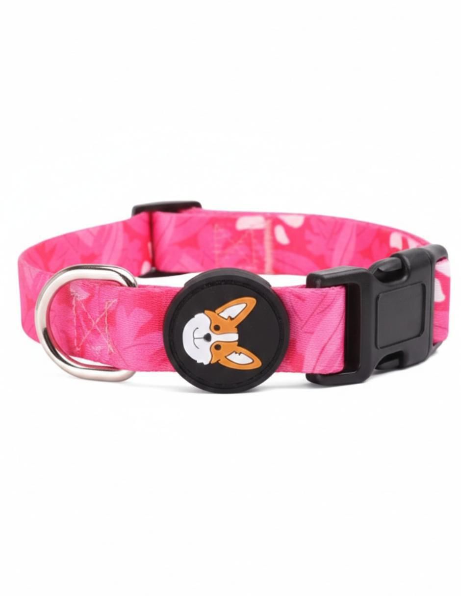 Collar perro 4