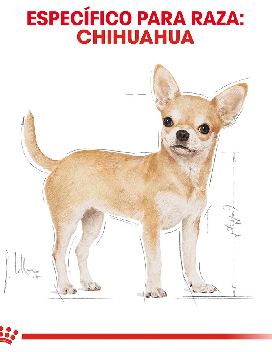 Croquetas Para Perro Chihuahua Royal Canin 1 Kg Adulto En Liverpool