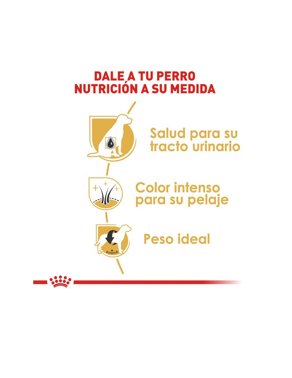 Croqueta de pollo para perro raza pequeña etapa adulto contenido individual 4.5 kg 4