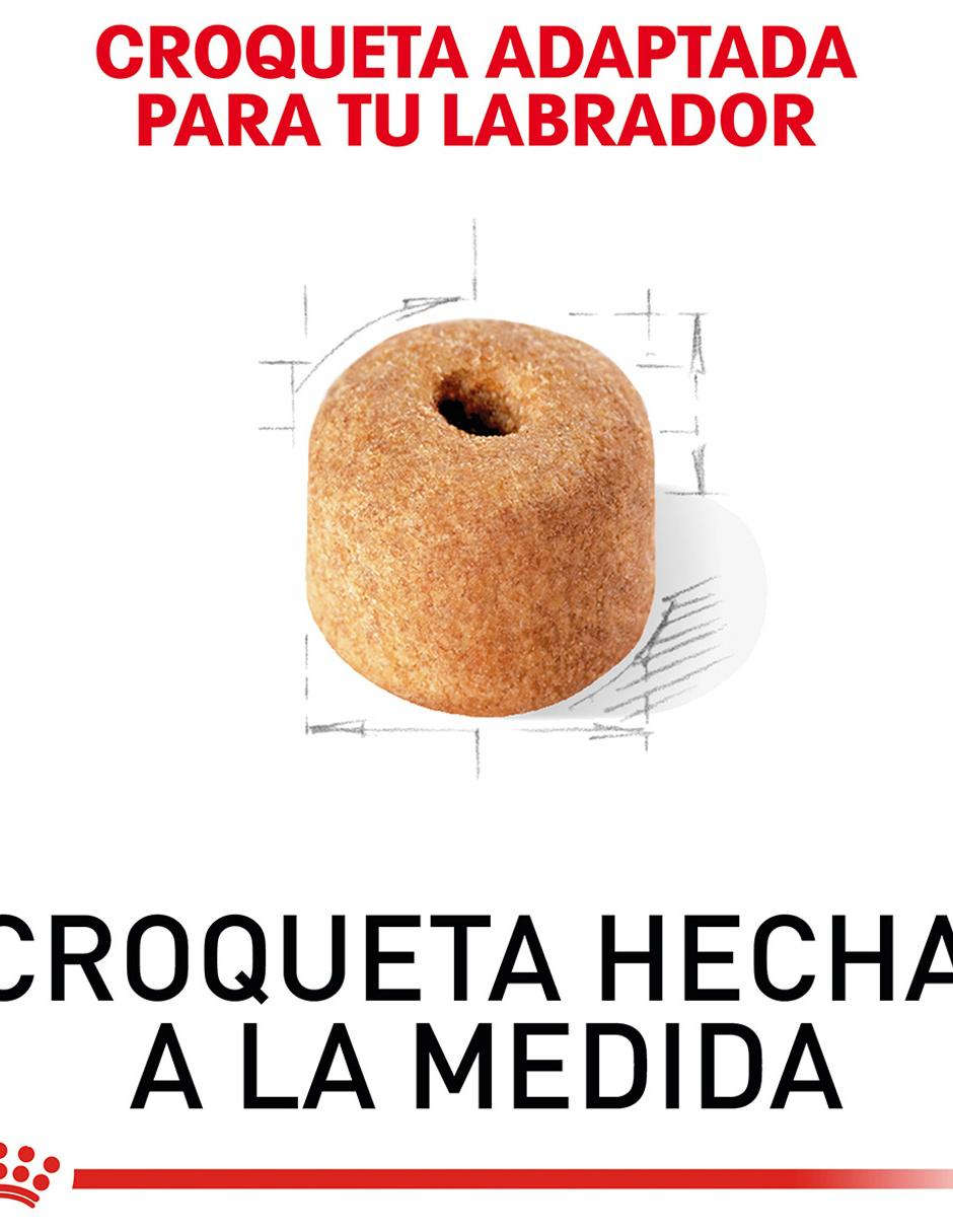 Croqueta de Pollo para adulto razas grandes contenido 13.6 kg 3