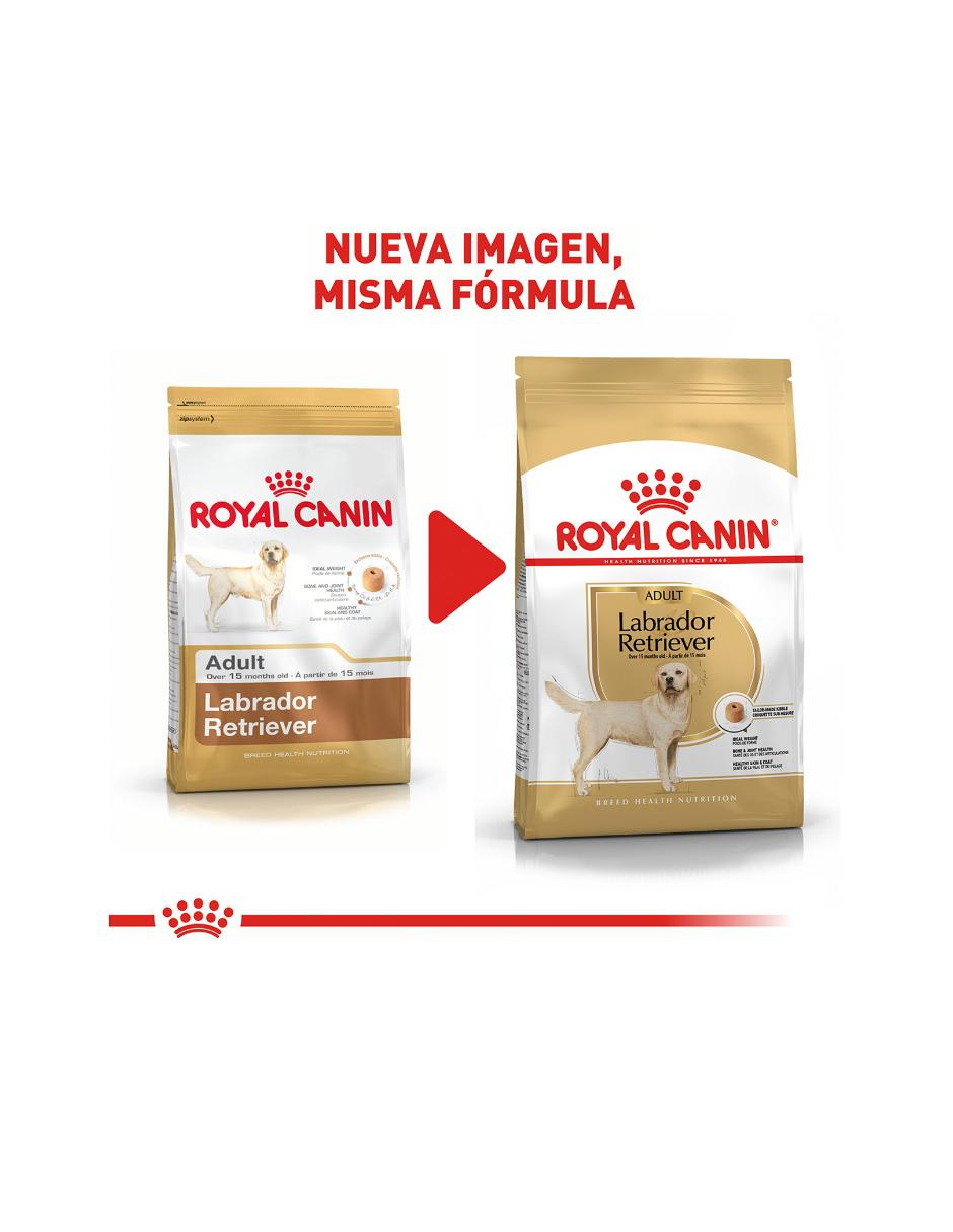 Croqueta de Pollo para adulto razas grandes contenido 13.6 kg 5