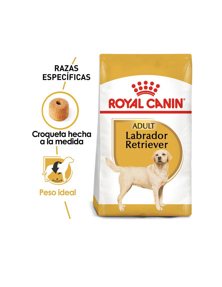 Croqueta de Pollo para adulto razas grandes contenido 13.6 kg 8