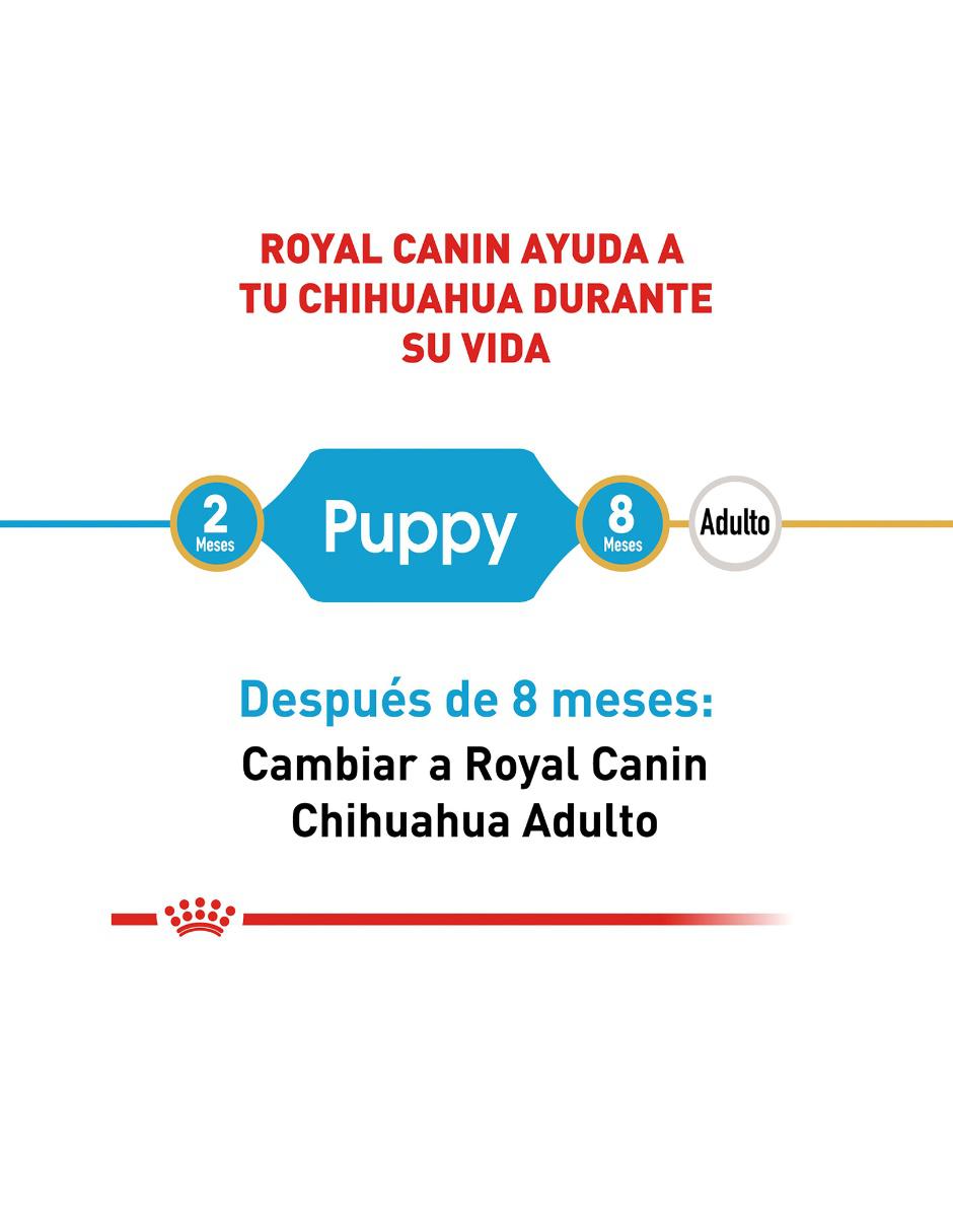 Croqueta de pollo para perro raza pequeña etapa cachorro contenido individual 1 kg 2