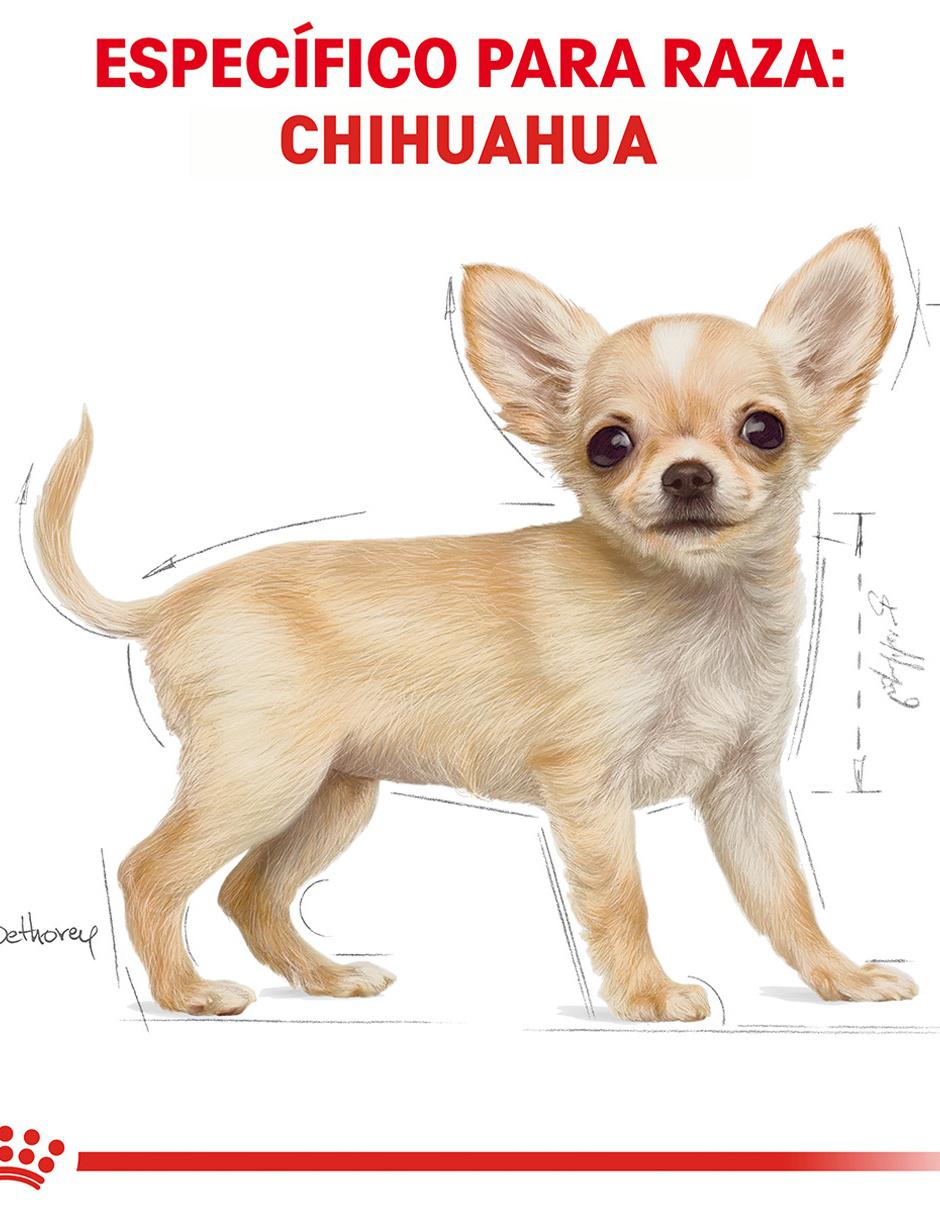 Croqueta de pollo para perro raza pequeña etapa cachorro contenido individual 1 kg 5