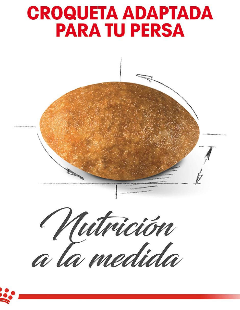 Croqueta de Pollo para adulto contenido 3 kg 3
