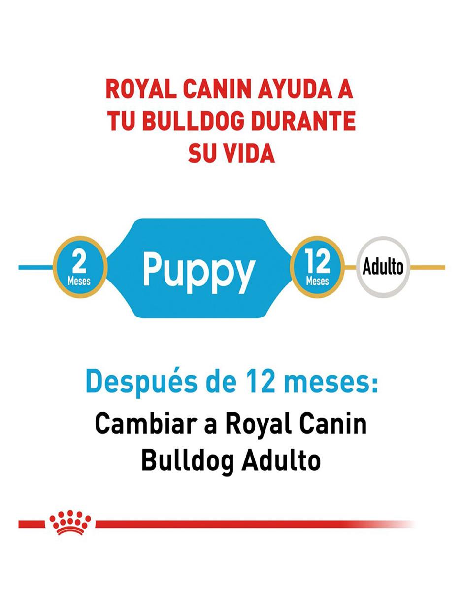 Croqueta de pollo para perro etapa cachorro contenido individual 13.6 kg 5