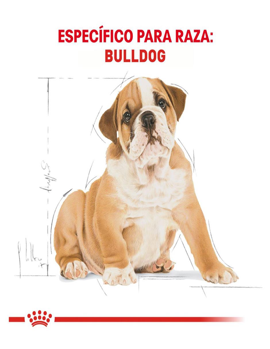 Croqueta de pollo para perro etapa cachorro contenido individual 13.6 kg 2