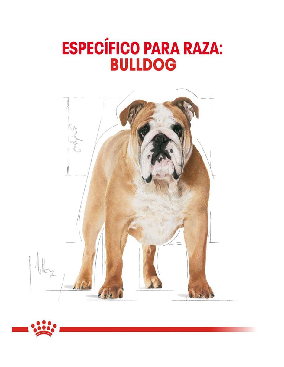 Croqueta de pollo para perro etapa adulto contenido individual 13.6 kg 2