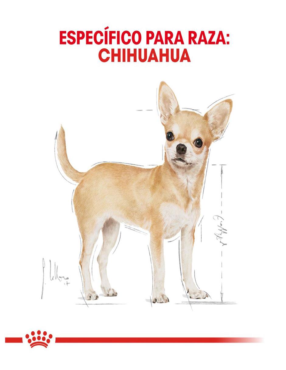 Croqueta de pollo para perro etapa adulto contenido individual 1 kg 2