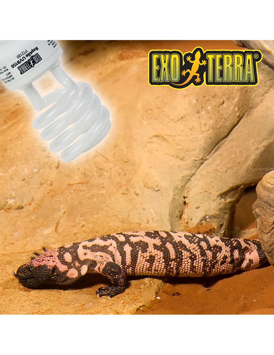 Foco para reptil Exo Terra Repti Glo 4